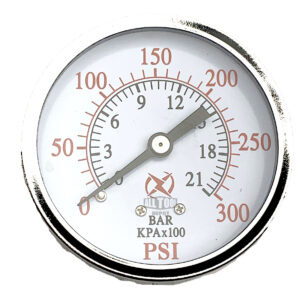 2" Pressure Gauge, 1/4" NPT, Center Back Mount, 0-300 PSI